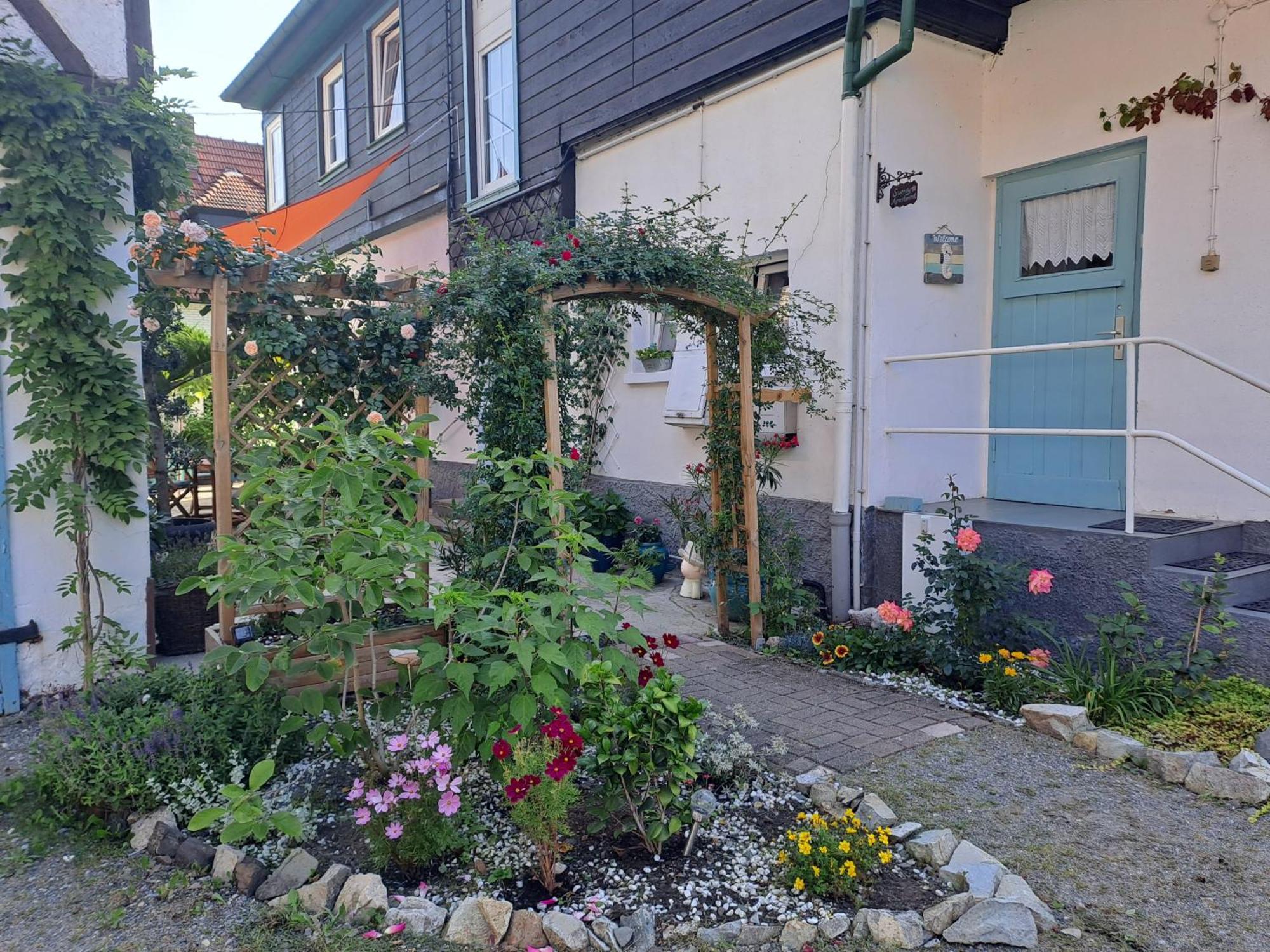 Sonniges Apartment Altenbrak Exteriör bild